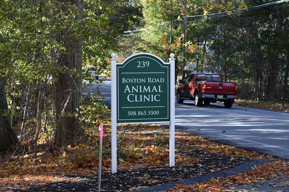 Vca boston store road animal hospital