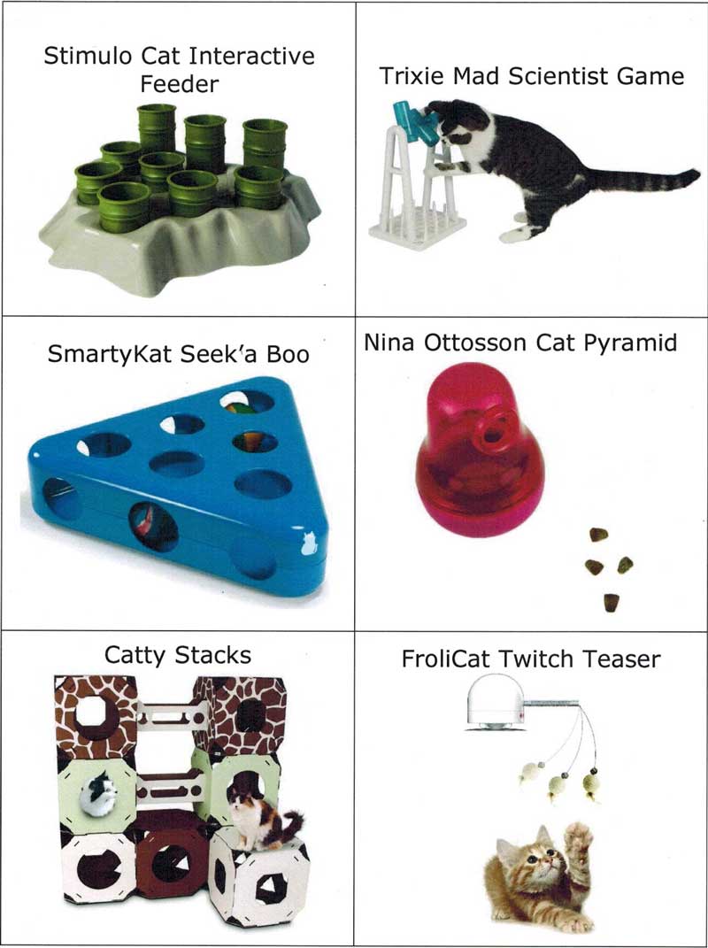 Using Puzzle Feeders with Your Cat - Cat Adoption Team
